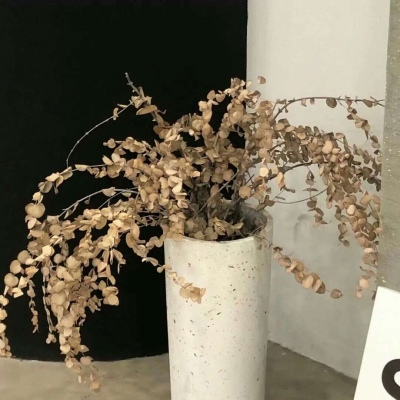 兽设Q版设计实用教程兽圈社群